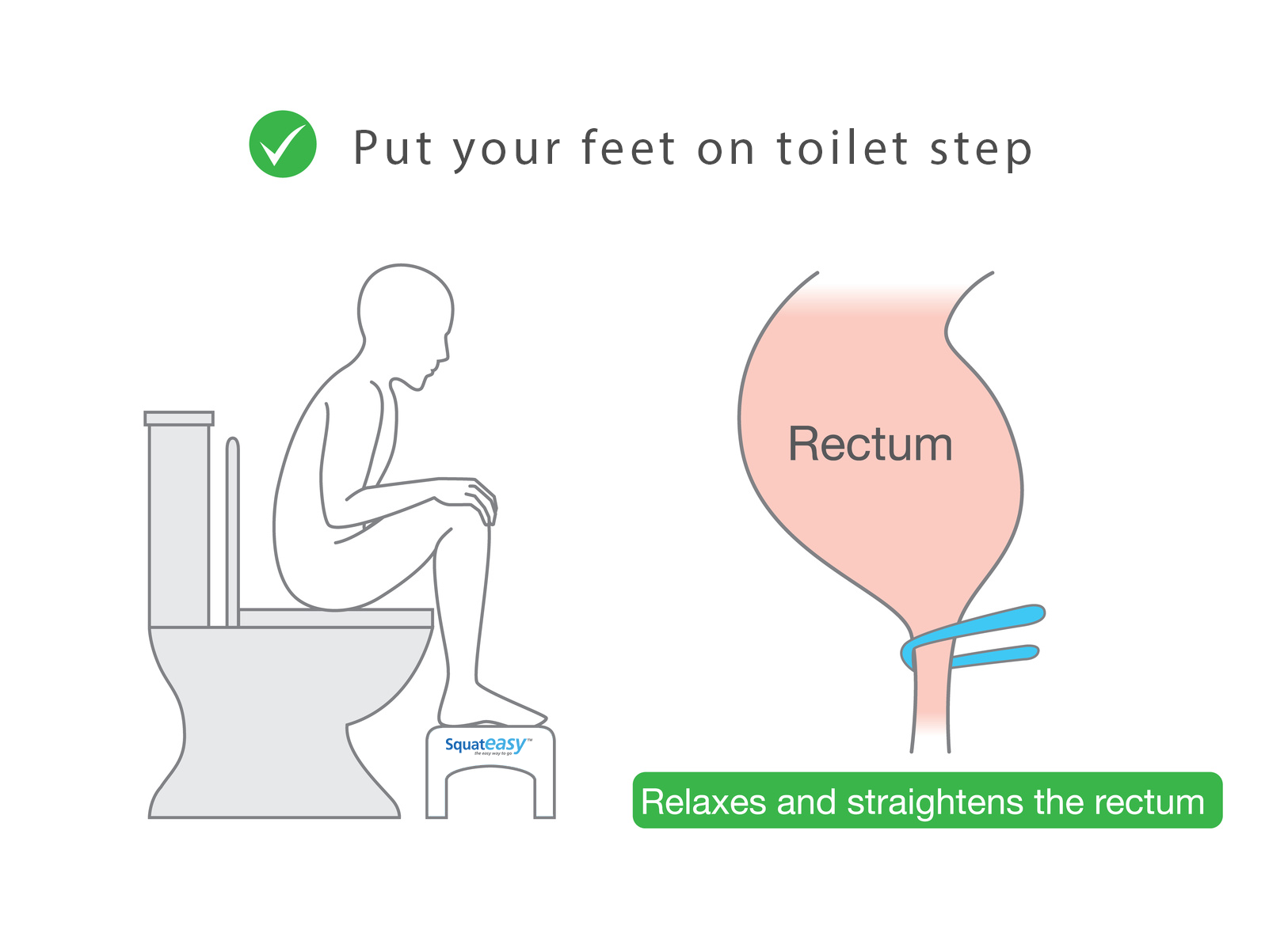 Correct Toilet Posture Squat Easy